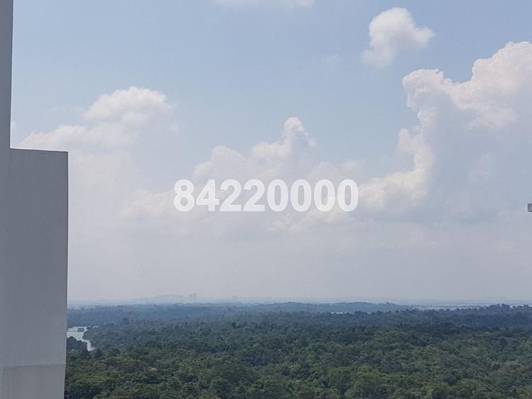 Eco Sanctuary (D23), Condominium #149670452